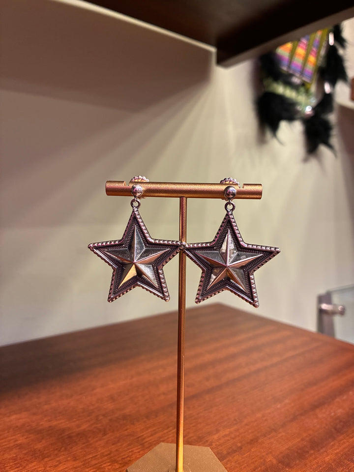 Large Star Earrings