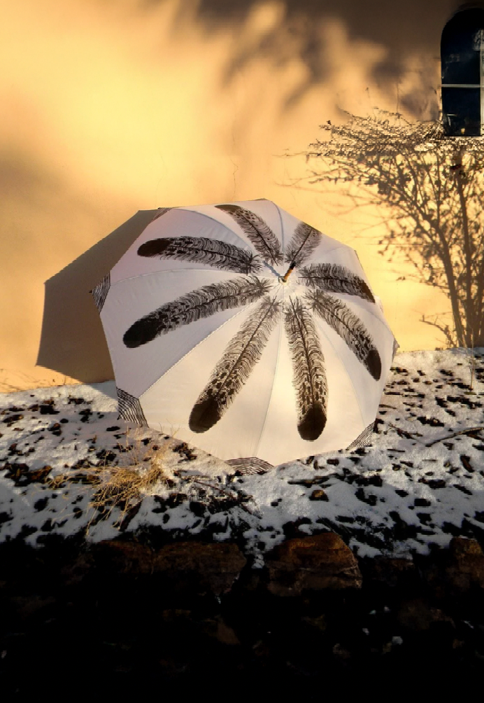 Patricial Michaels Umbrella