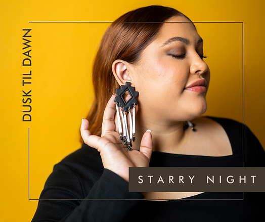 Isabella Rose Designs Starry Night Earrings